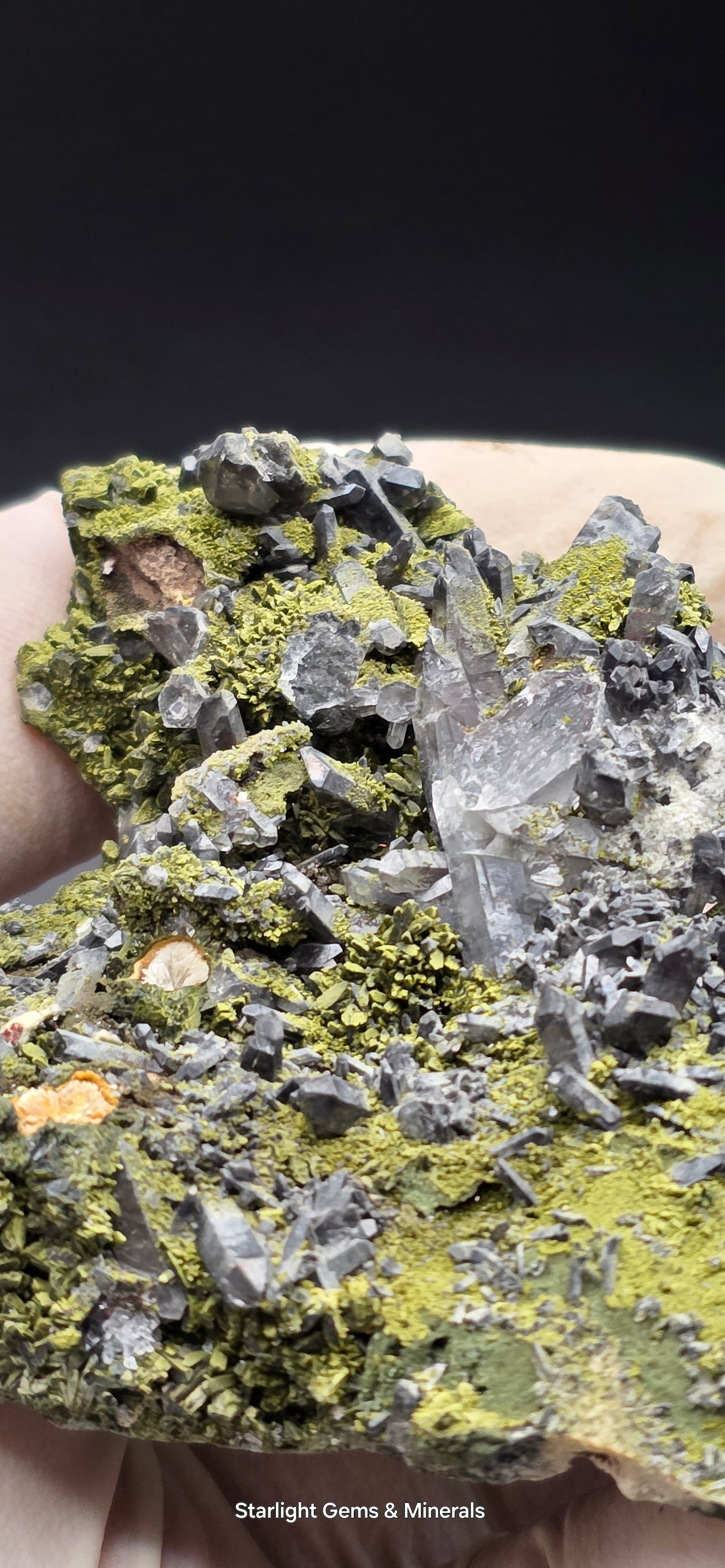 Epidote and Chlorite Included Brazilian Super Seven Quartz Matrix Forest!