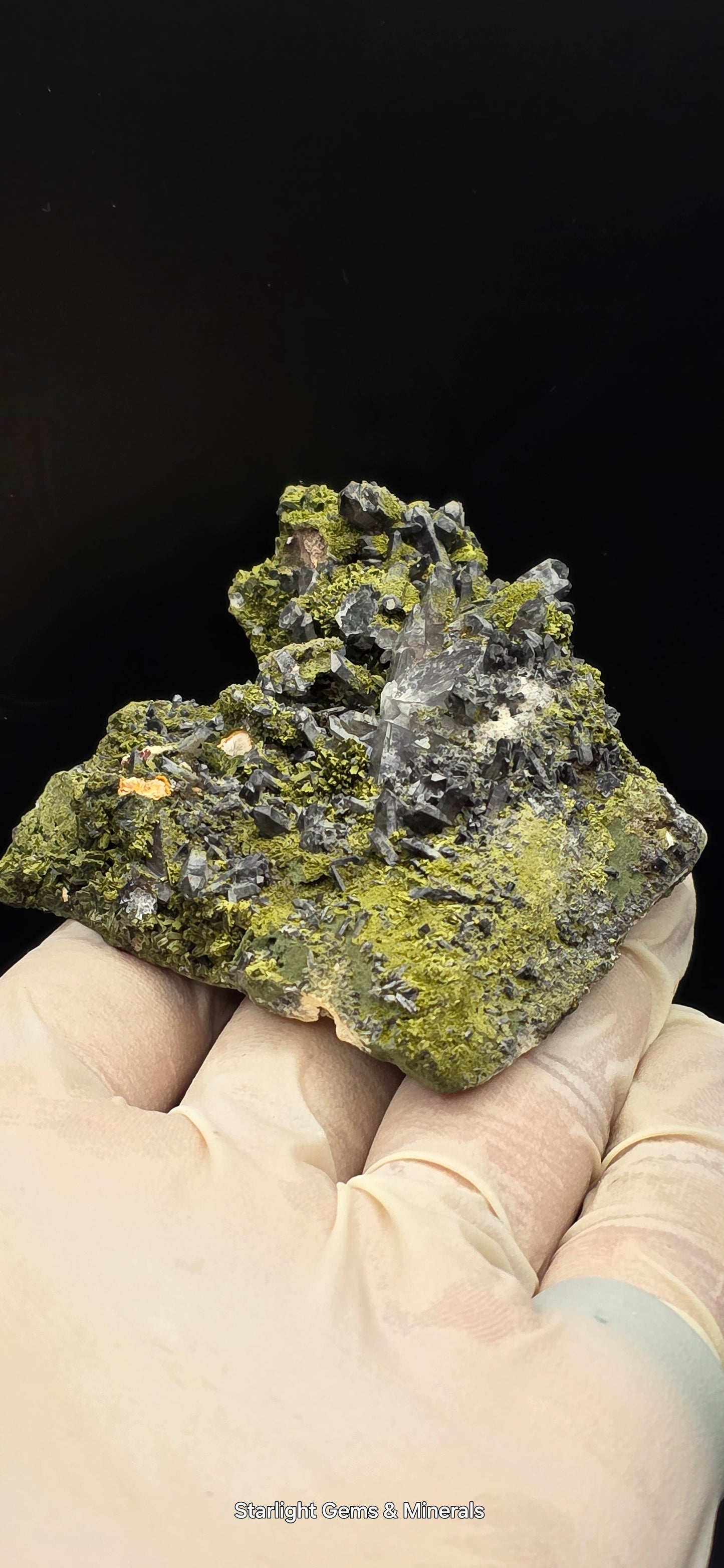 Epidote and Chlorite Included Brazilian Super Seven Quartz Matrix Forest!