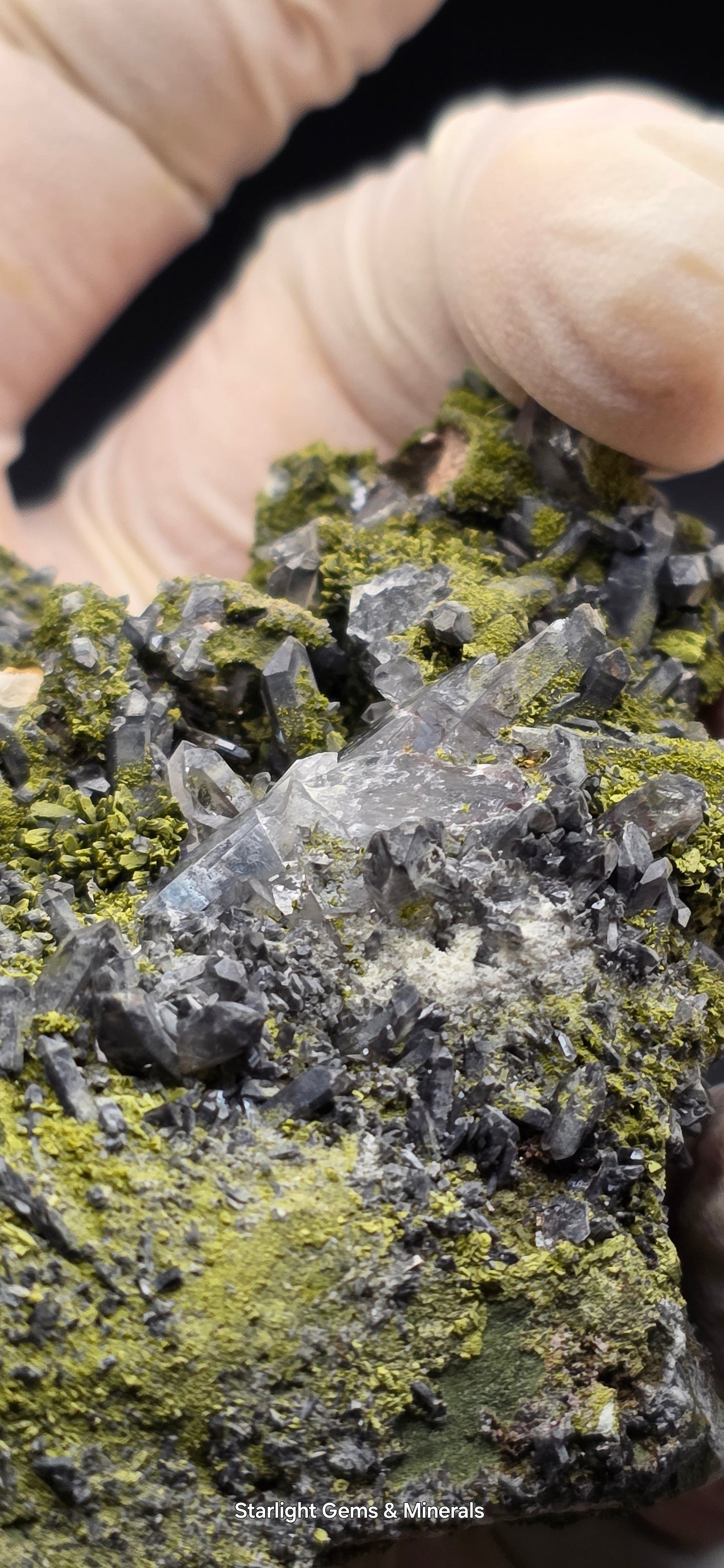 Epidote and Chlorite Included Brazilian Super Seven Quartz Matrix Forest!